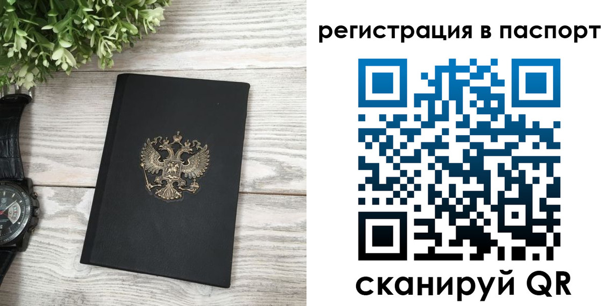 прописка в Новозыбкове