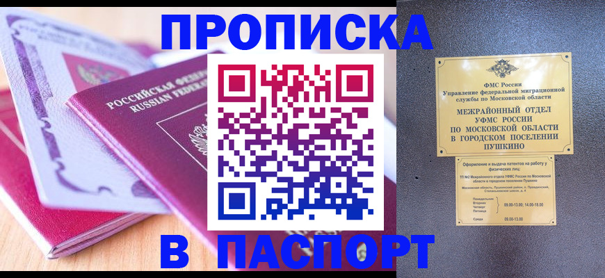 прописка законно в Новозыбкове